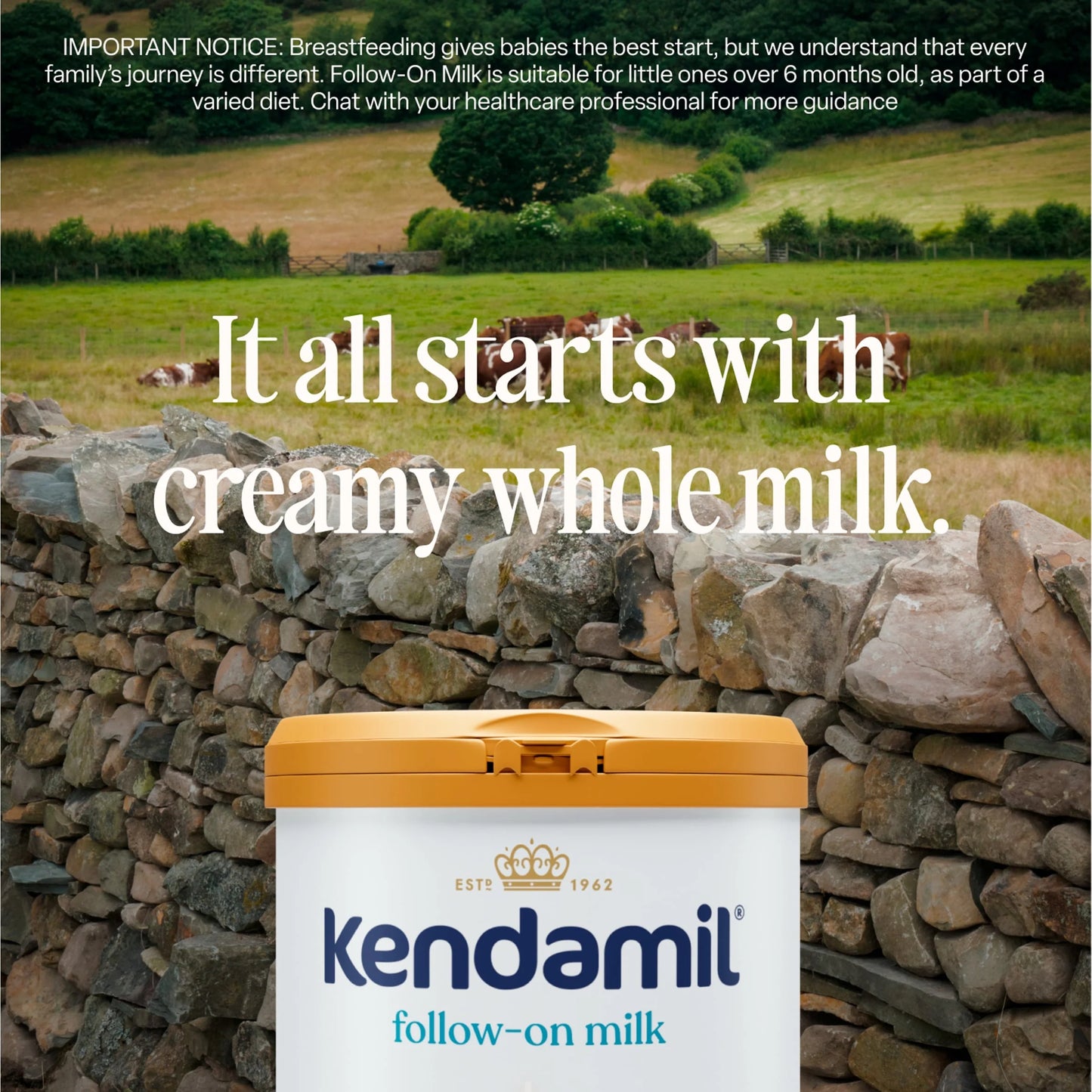 Follow On Milk 2 From 6 To 12 Months by KENDAMIL
