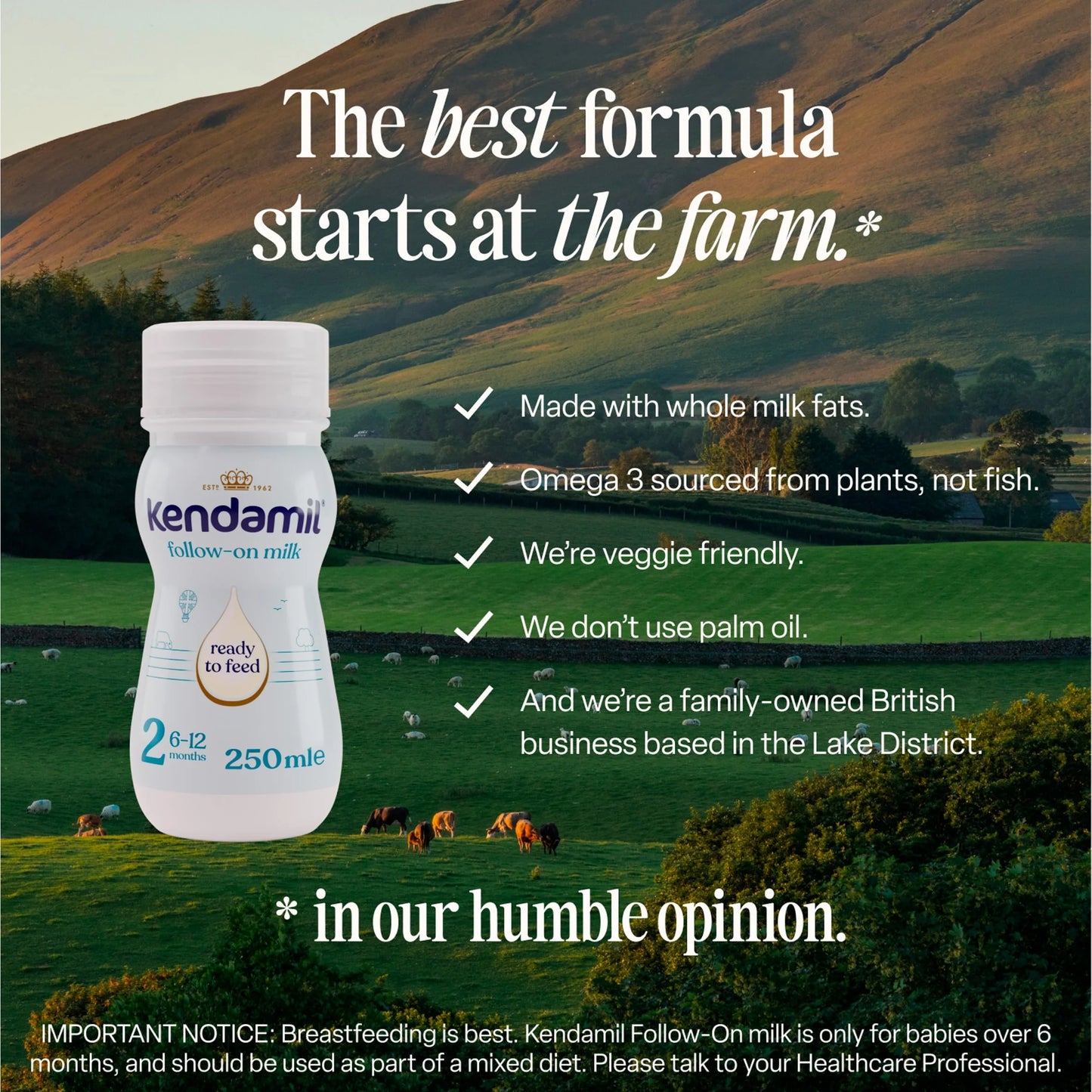 Follow-on Milk 6-12 Months 6 X 250ml by KENDAMIL