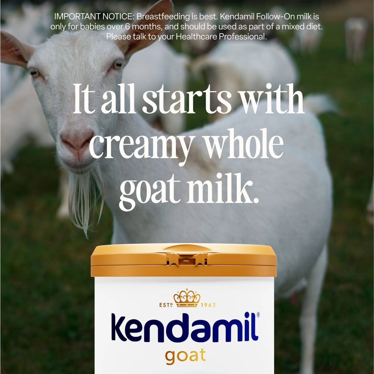 Goat Follow-on Milk Stage 2 6-12 by KENDAMIL