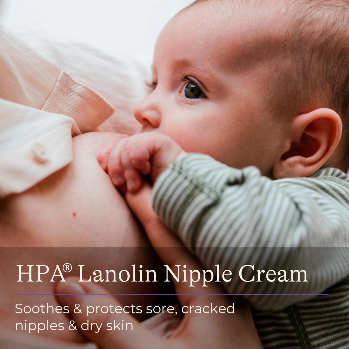 Hpa Lanolin Nipple Cream 40ml by LANSINOH