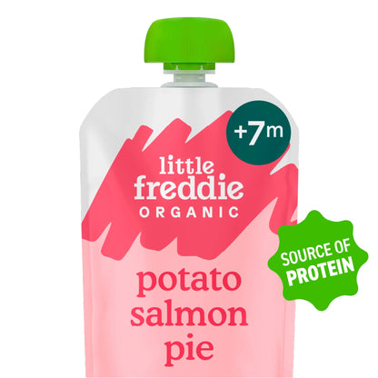 Organic Salmon Pie Baby Food by little freddie