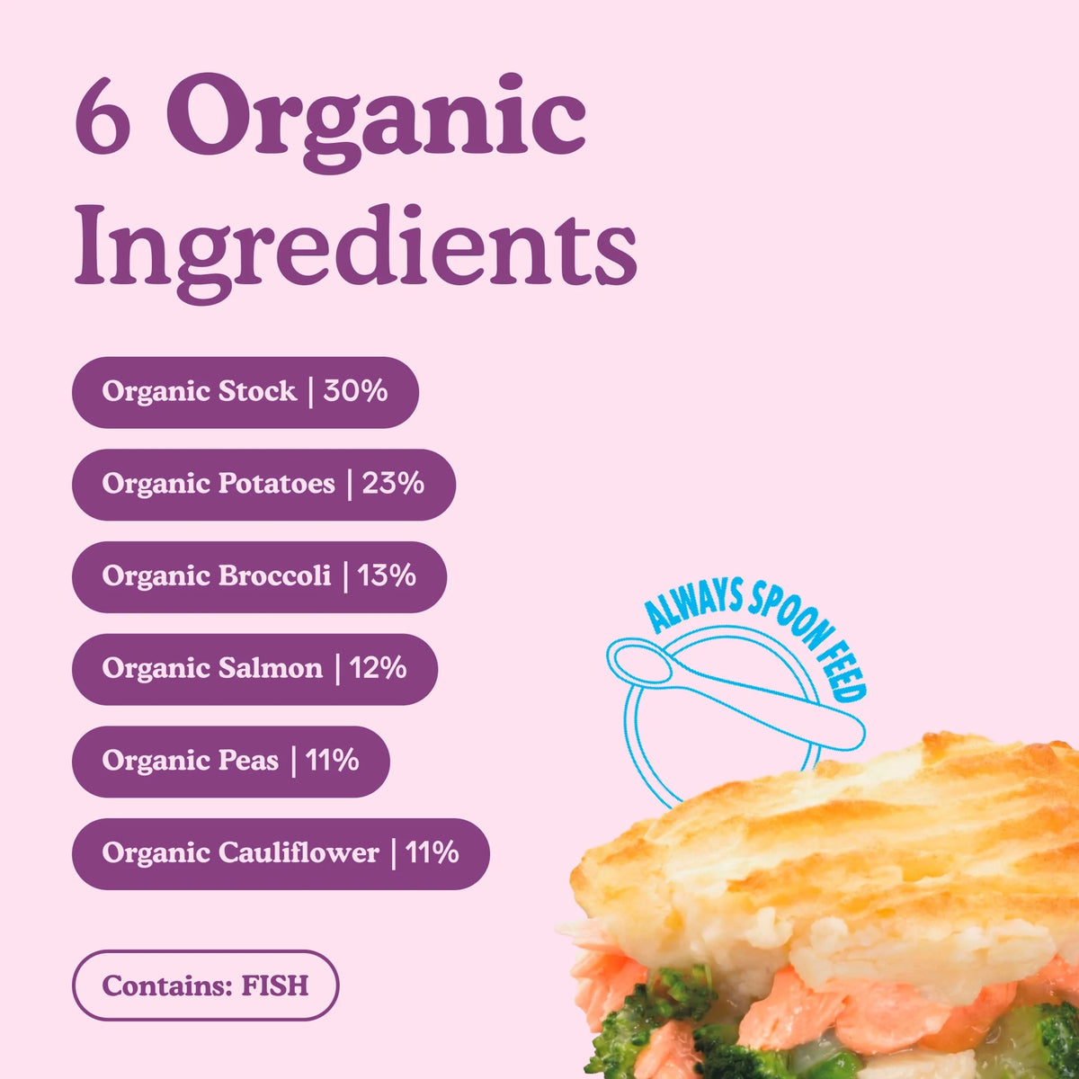 Organic Salmon Pie Baby Food by little freddie