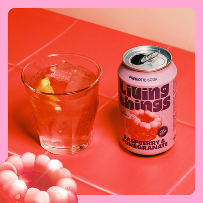 Raspberry & Pomegranate Soda 4x by Living things