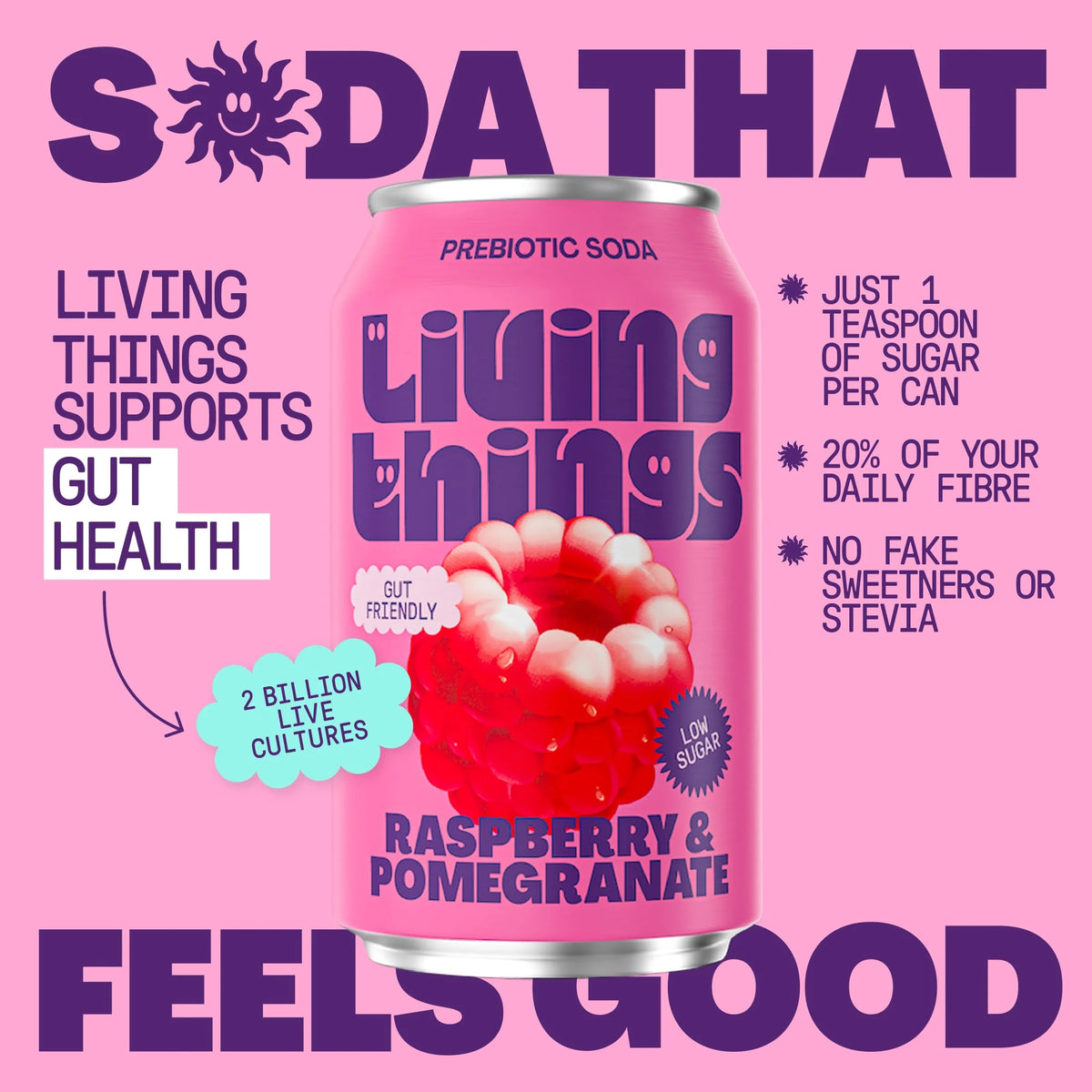 Raspberry & Pomegranate Soda 4x by Living things