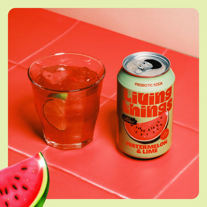 Watermelon & Lime Soda 4x 330ml by Living things