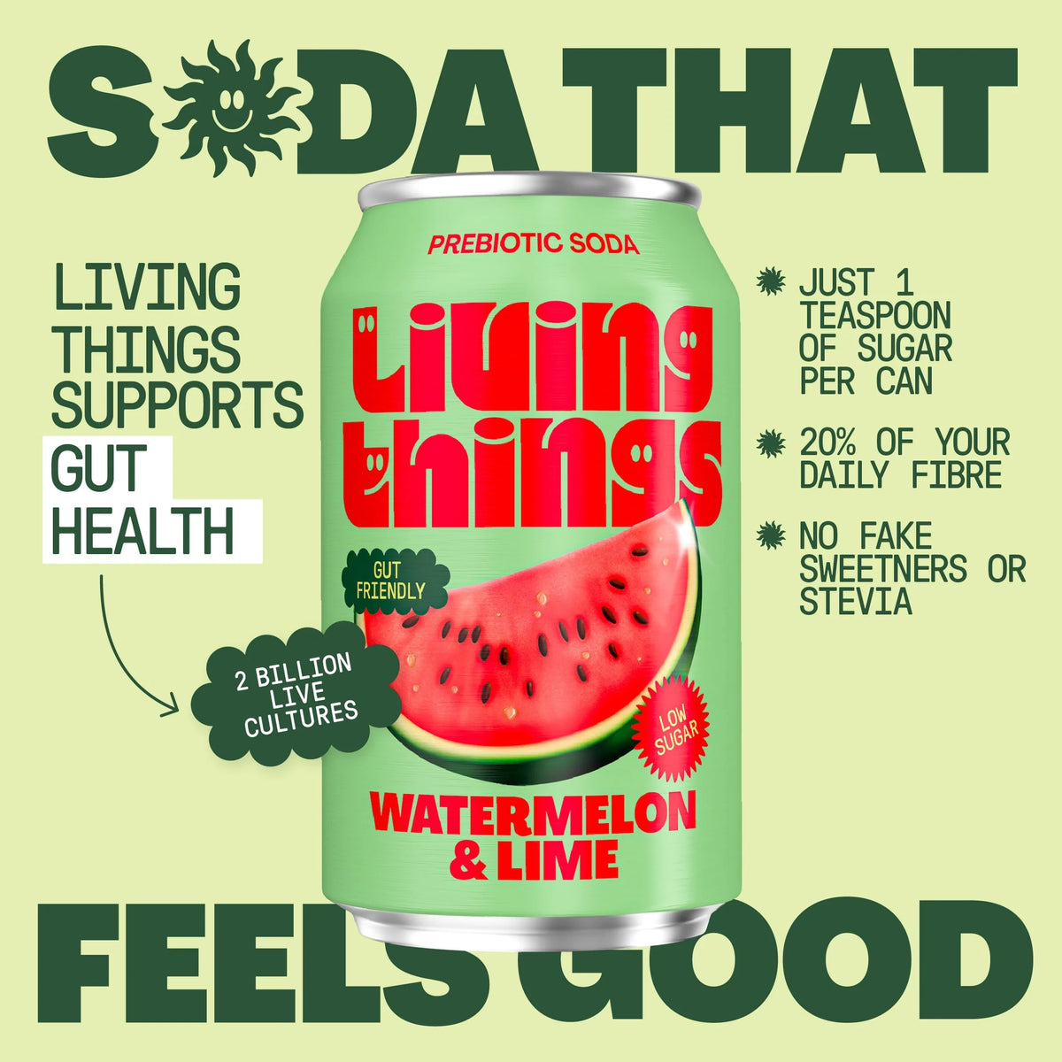 Watermelon & Lime Soda 4x 330ml by Living things
