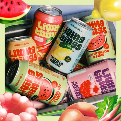 Watermelon & Lime Soda 4x 330ml by Living things