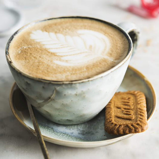 Biscoff Snack Pack 248g by Lotus