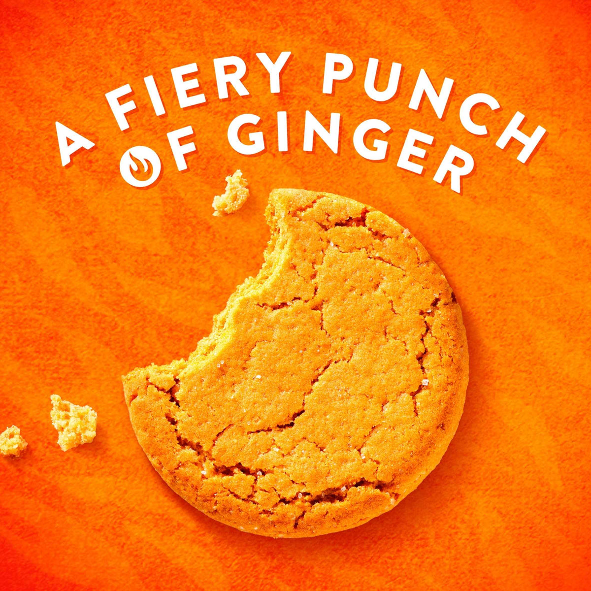 Ginger Nuts Biscuits 250g by McVitie's