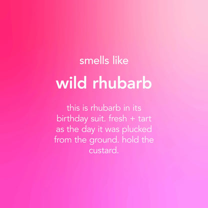 Wild Rhubarb All Floor Cleaner 739ml by METHOD