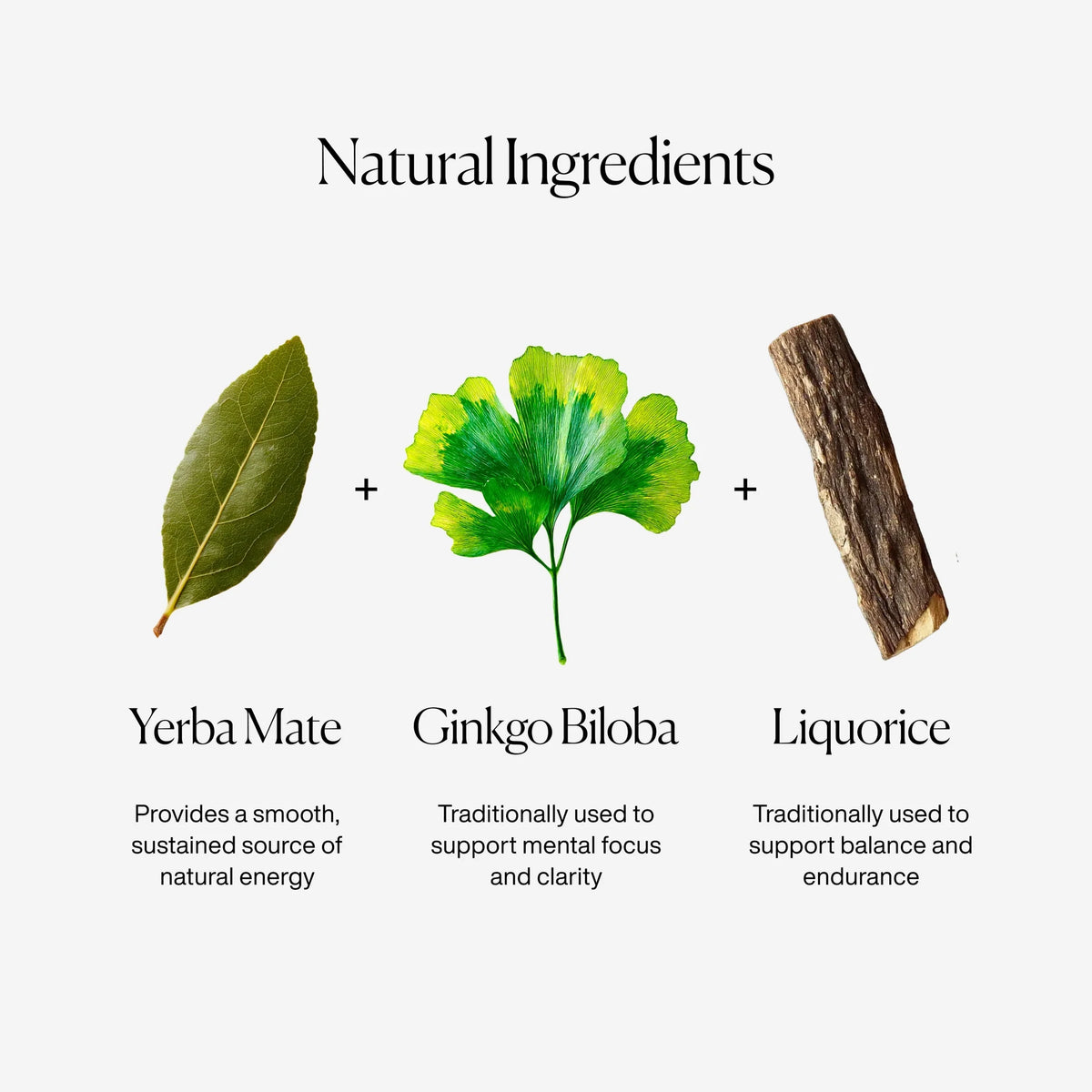 Focus Yerba Mate With Liquorice, by MISSION