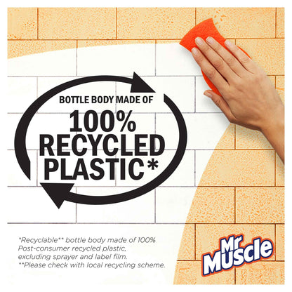 Platinum Window & Glass 750ml by MR MUSCLE