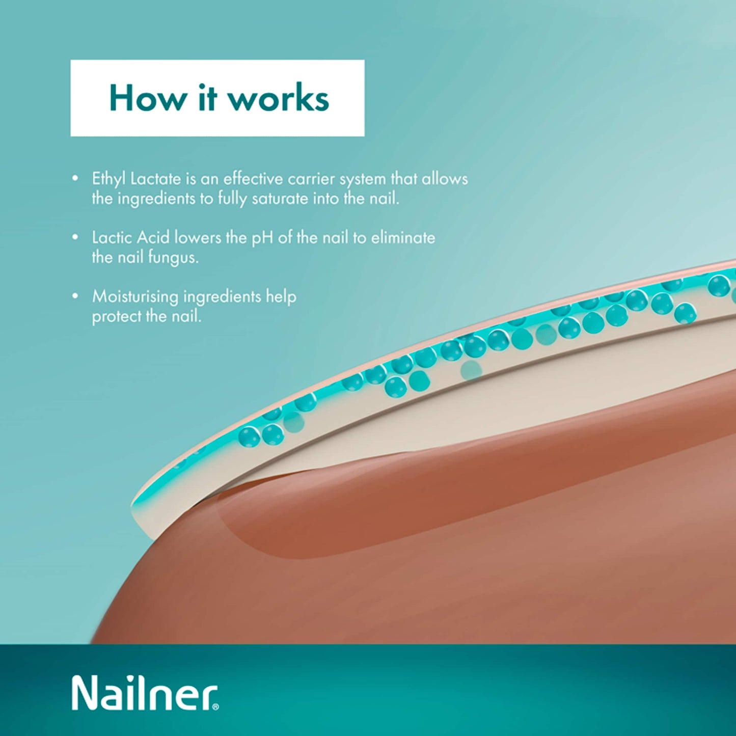 2 In 1 Brush Antifungal Nail by NAILNER