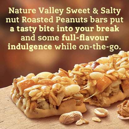 Sweet & Salty Nut Roasted by NATURE VALLEY