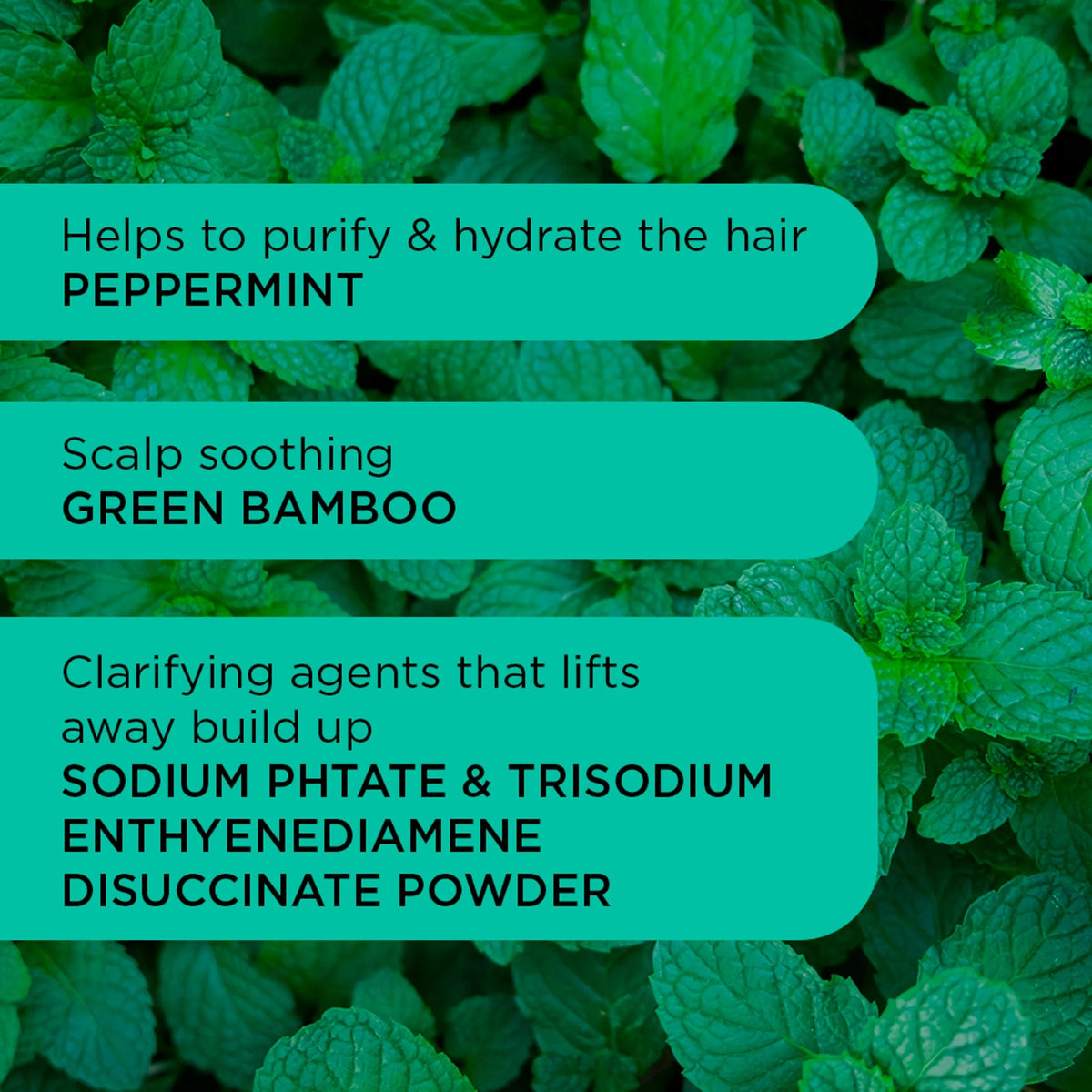 Detox Dynamo Clarifying Shampoo 250ml by Noughty