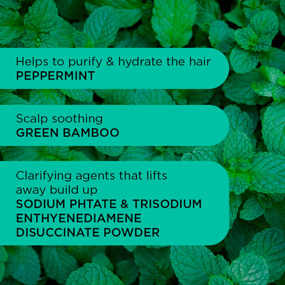 Detox Dynamo Clarifying Shampoo 250ml by Noughty