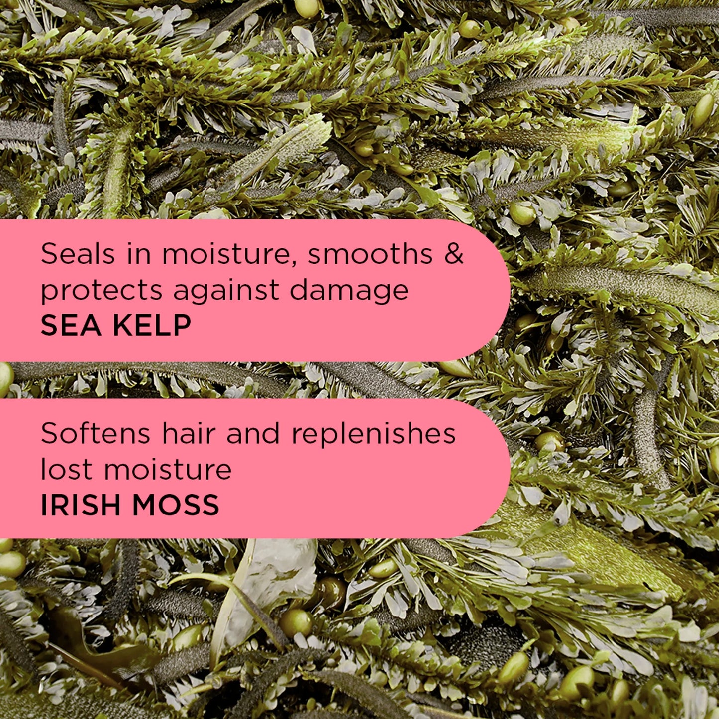 Wave Curl Scrunching Jelly 200ml by Noughty