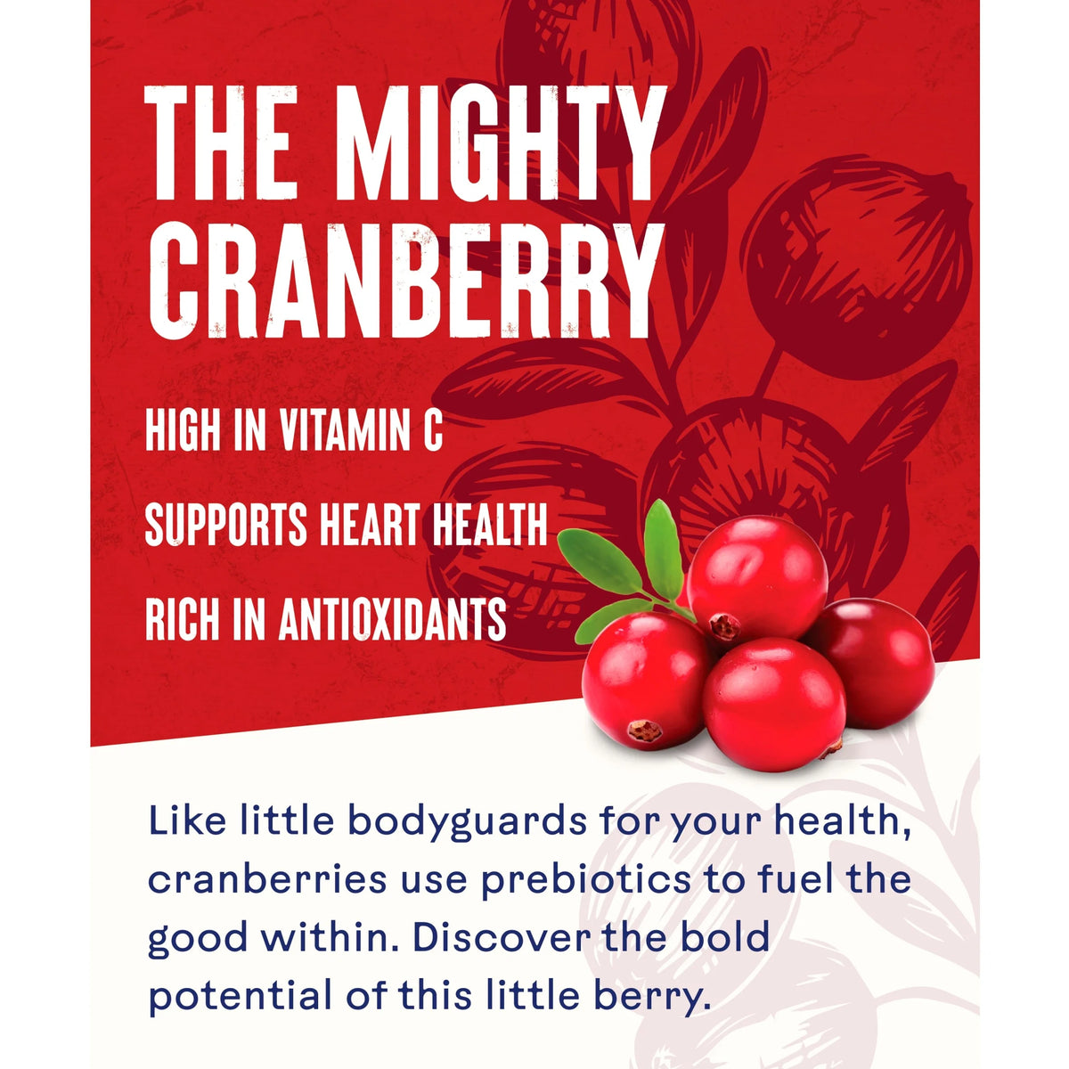 Cranberry Classic Juice Drink 1 by OCEAN SPRAY