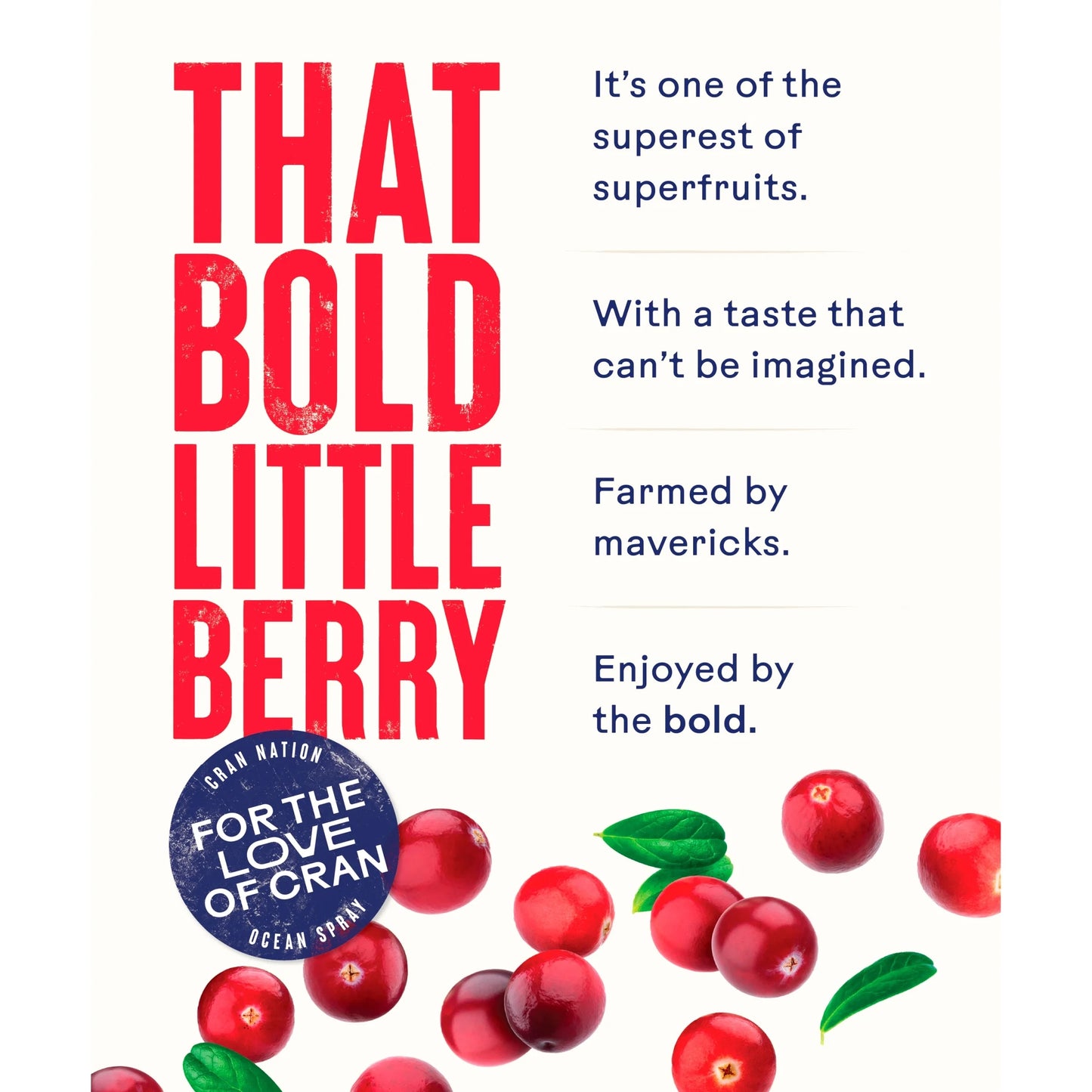 Cranberry Classic Juice Drink 1 by OCEAN SPRAY