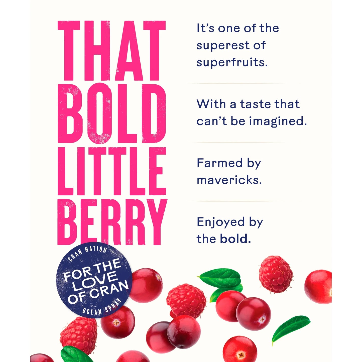 Cranberry & Raspberry Juice Drink by OCEAN SPRAY