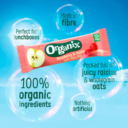 Oat & Banana Mini Flapjack Bites 4 X by ORGANIX
