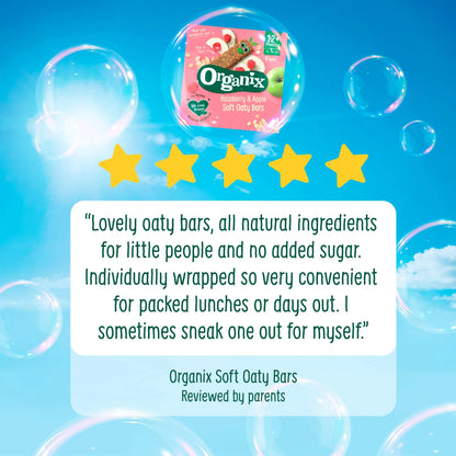 Oat & Raisin Mini Flapjack Bites 4 X by ORGANIX