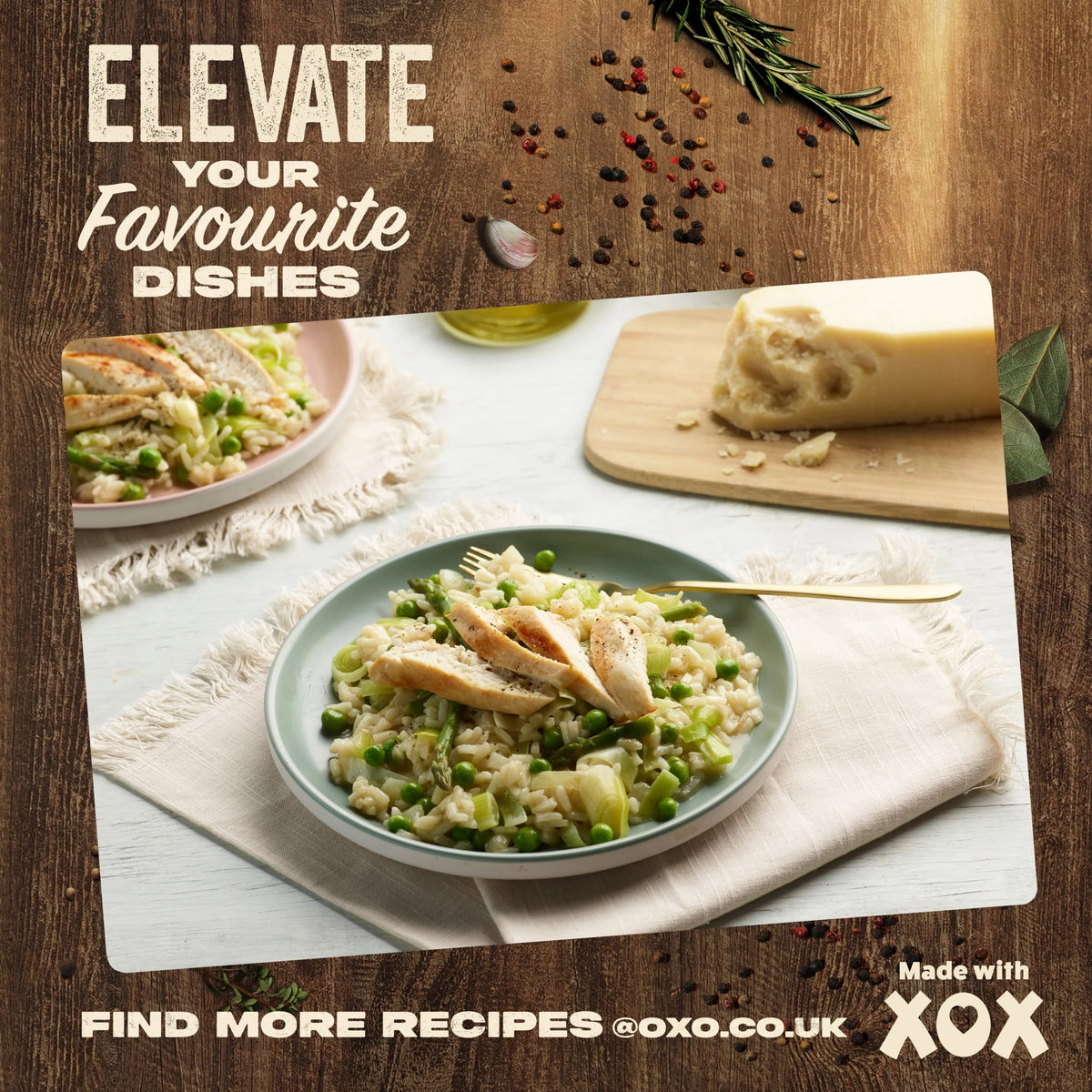 Ready To Use Stock Signature Succulent by OXO
