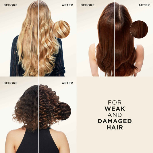 Active Nutri-plex Repair & Protect by PANTENE