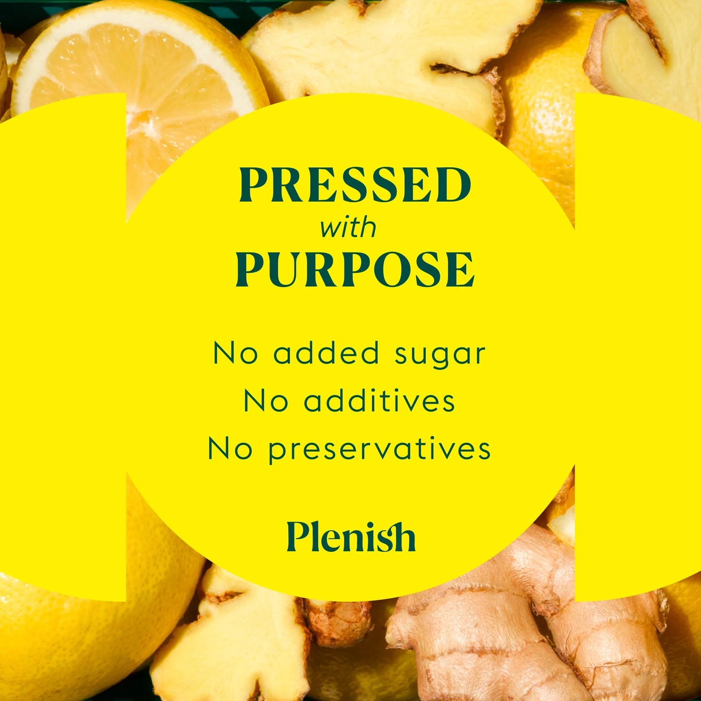 Ginger Immunity Dosing Bottle 7x by Plenish