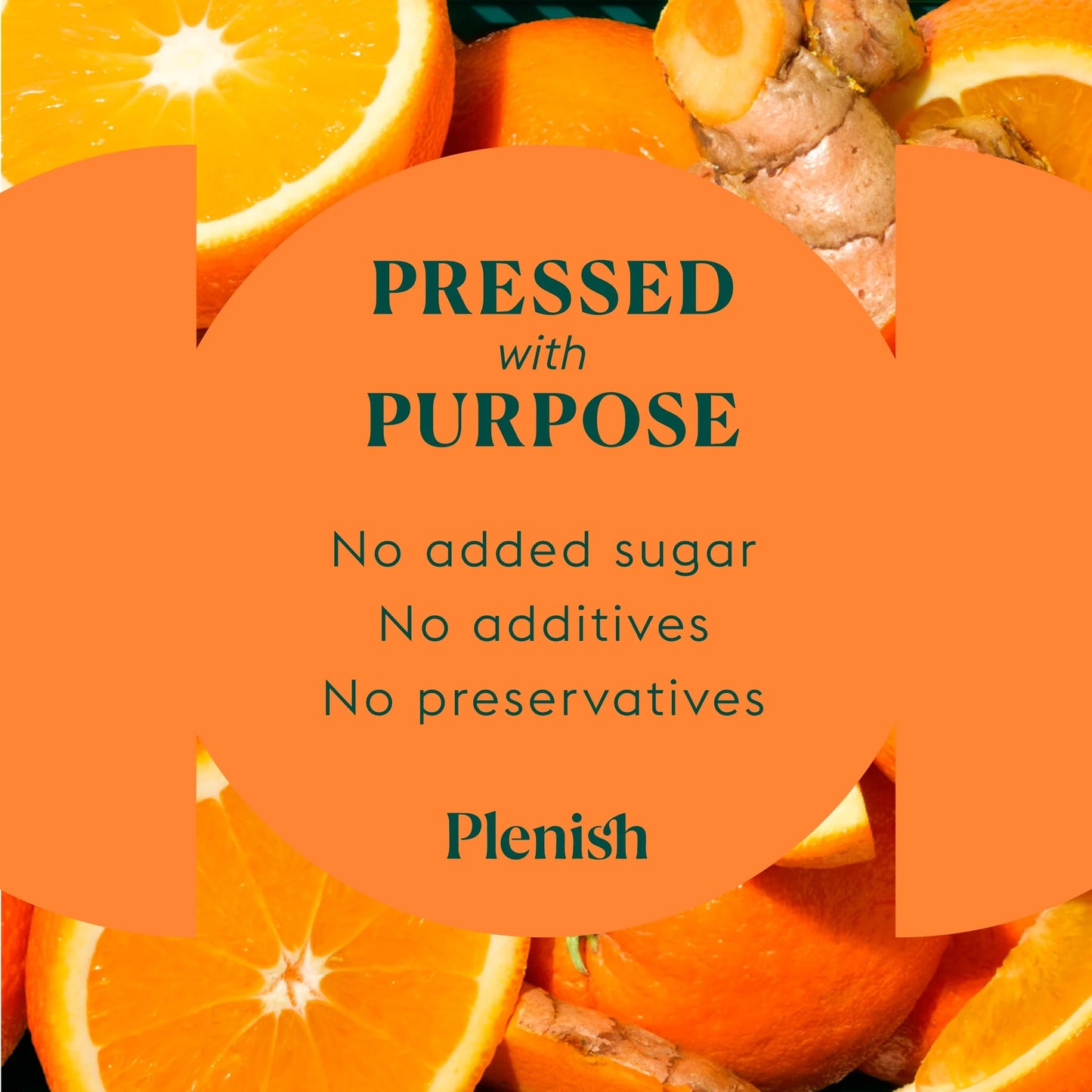 Turmeric Recovery Dosing Bottle 7x by Plenish