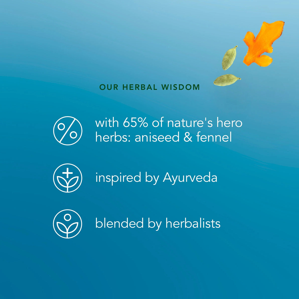 Pukka Organic After Dinner Tea With Fennel For Digestion 20 Herbal by