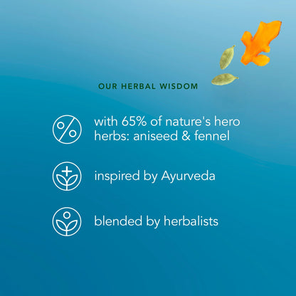 Pukka Organic After Dinner Tea With Fennel For Digestion 20 Herbal by