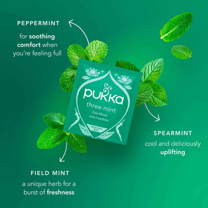 Organic Digest Collection With Peppermint And Ginger 8 Tea by Pukka
