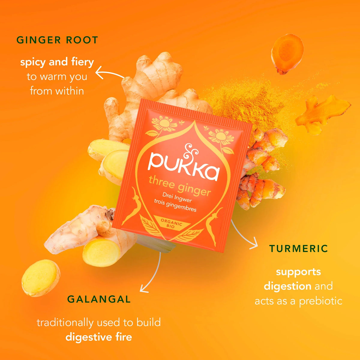Organic Digest Collection With Peppermint And Ginger 8 Tea by Pukka