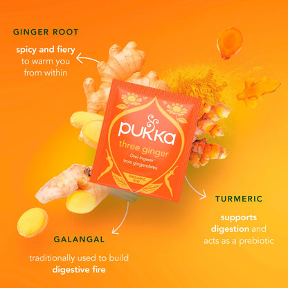 Organic Digest Collection With Peppermint And Ginger 8 Tea by Pukka