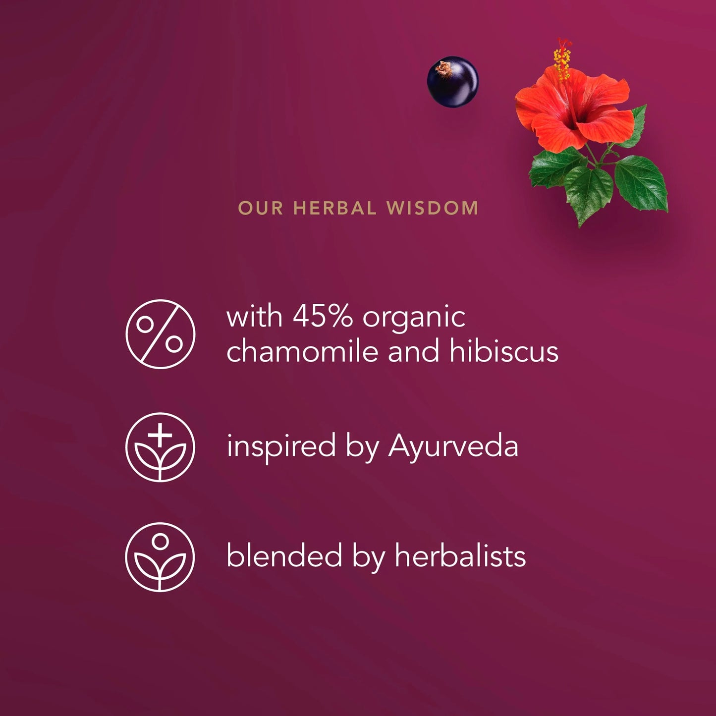 Organic Night Time Berry Herbal Tea by Pukka