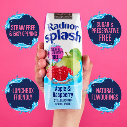 Splash Apple & Raspberry 3 X 250ml by Radnor