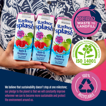 Splash Apple & Raspberry 3 X 250ml by Radnor