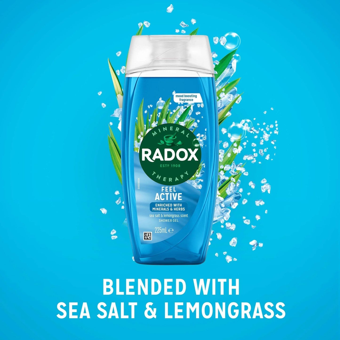 Sea Salt & Lemongrass Feel Active by RADOX