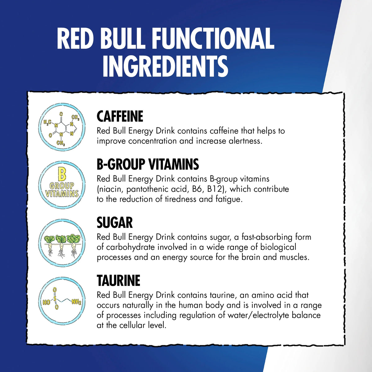 Energy Drink 12 X 250m by Red Bull