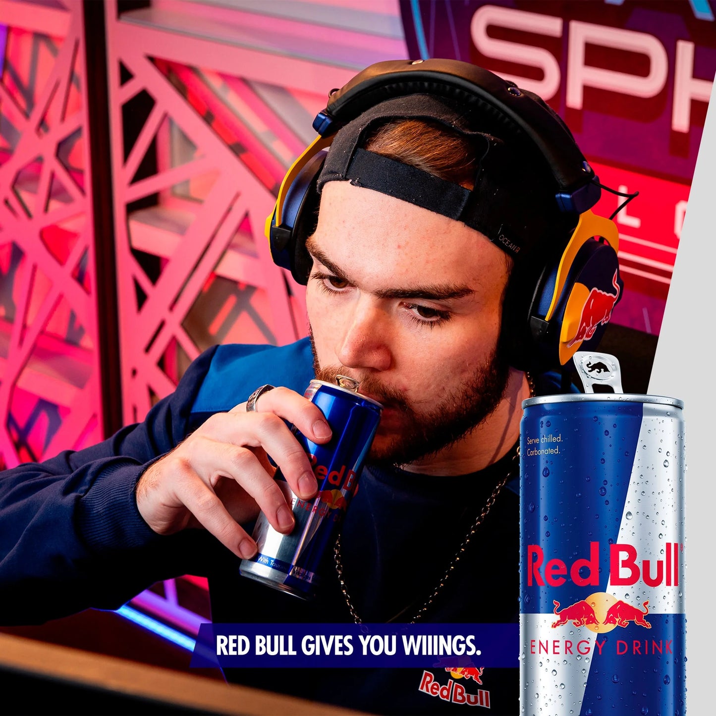 Variety Pack Energy Drink 8 X 250ml by Red Bull