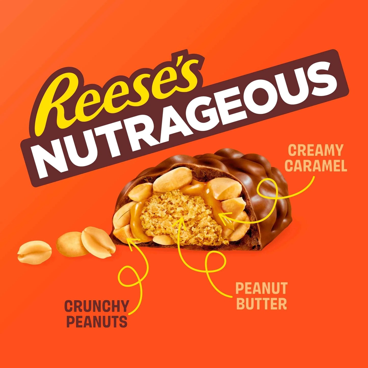 Nutrageous Chocolate 47g by Reese's