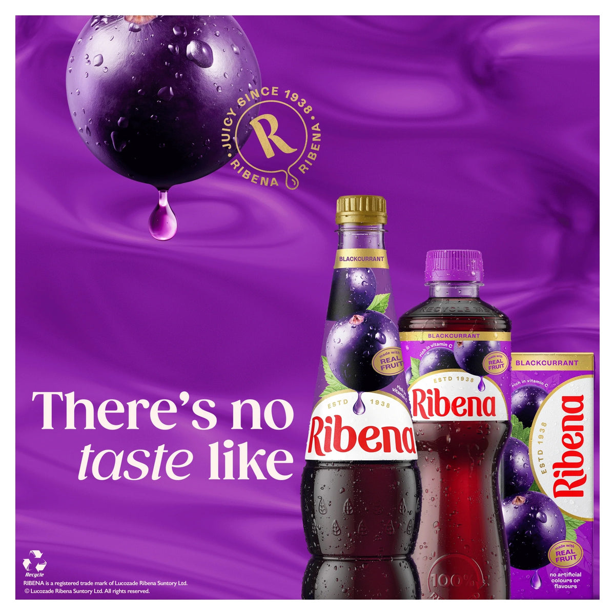 Blackcurrant Juice Drink 500ml by RIBENA