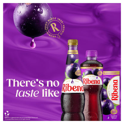 Blackcurrant Juice Drink 500ml by RIBENA