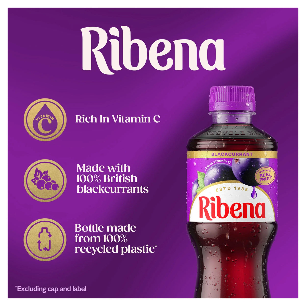Blackcurrant Juice Drink 500ml by RIBENA
