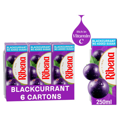Blackcurrant Juice Drink Cartons No by RIBENA