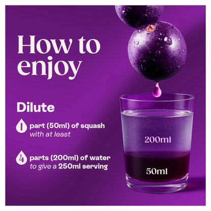 Blackcurrant Squash No Added Sugar 1.5l by RIBENA