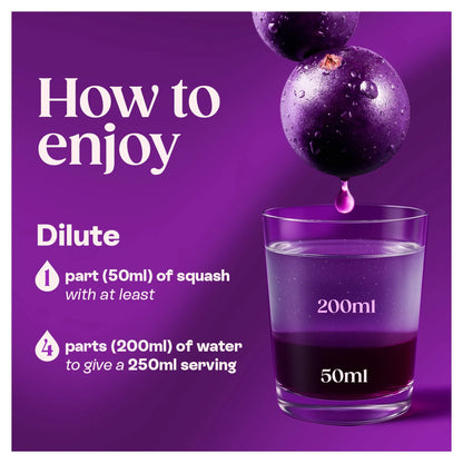 Blackcurrant Squash No Added Sugar by RIBENA