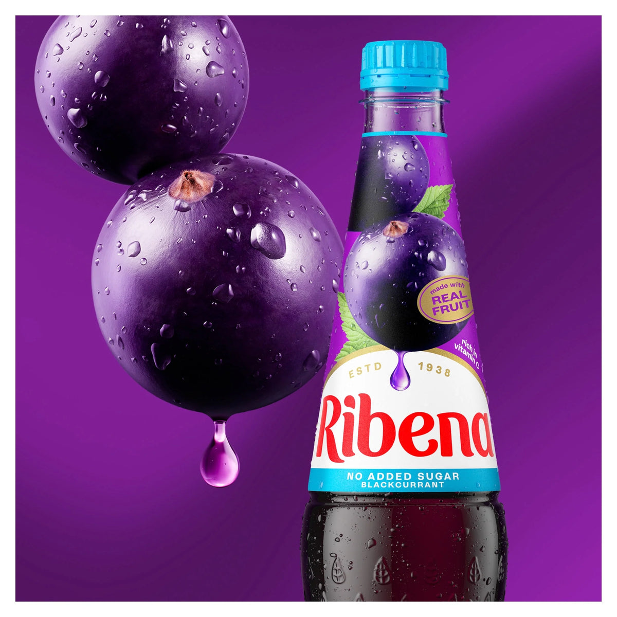 Blackcurrant Squash No Added Sugar by RIBENA