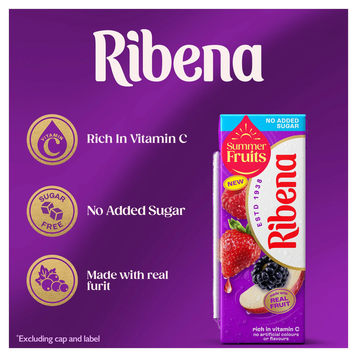 Summer Fruits No Added Sugar Juice by RIBENA at The British Vault